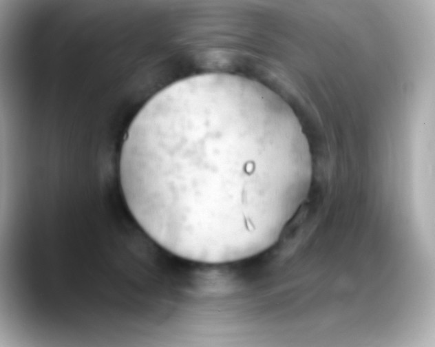 X0000088490561200706051420