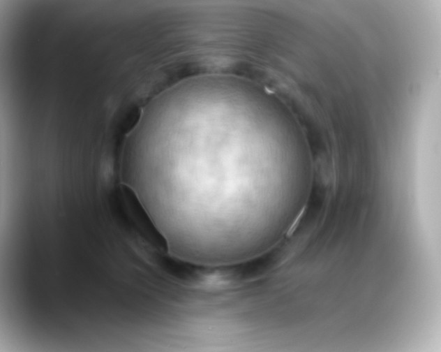 X0000088490564200706051420