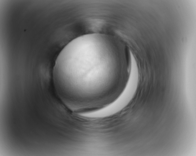 X0000088490566200706051420