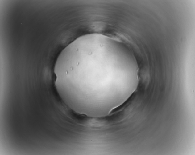 X0000088490568200706051420