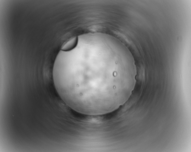 X0000088490569200706051420