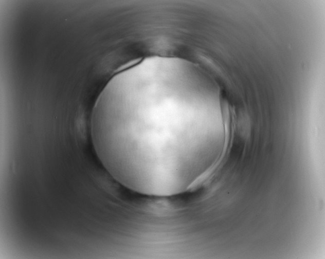 X0000088490572200706051420