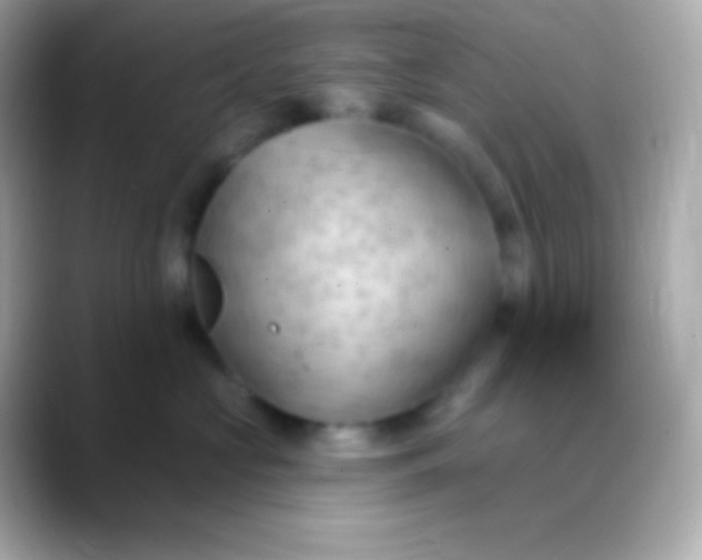 X0000088490573200706051420