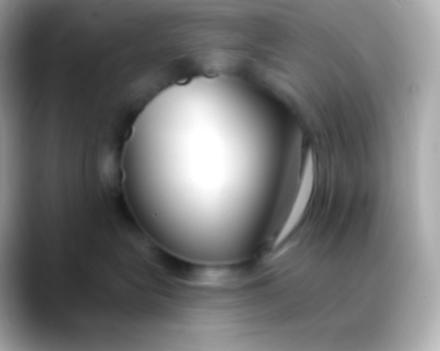 X0000088490575200706051420