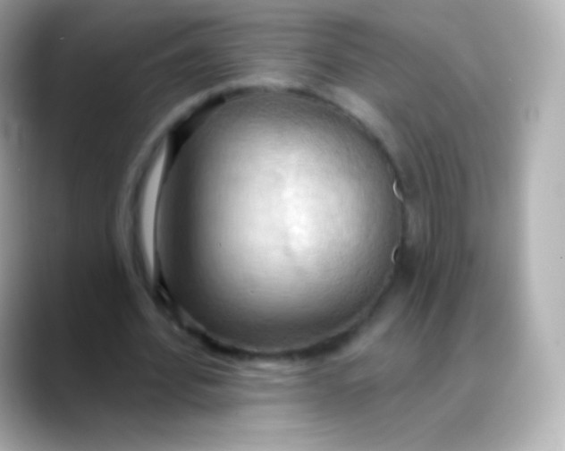 X0000088490580200706051420