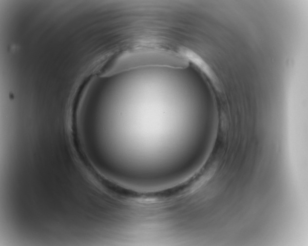 X0000088490581200706051420