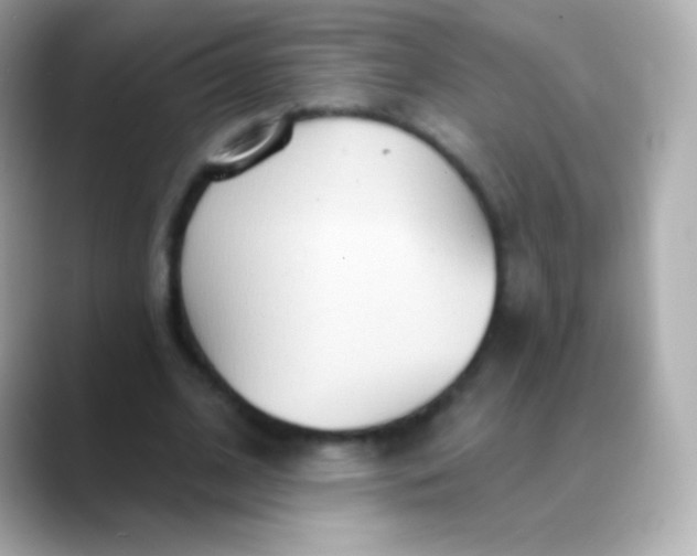 X0000088490584200706051420