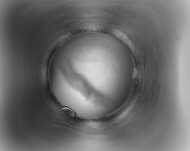 X0000088490585200706051420