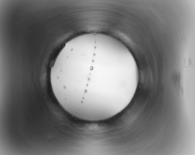 X0000088490588200706051420