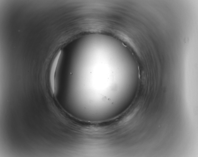 X0000088490589200706051420