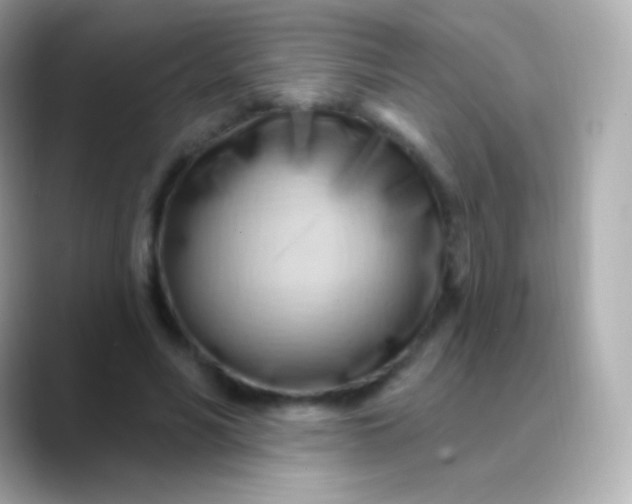 X0000088490590200706051420