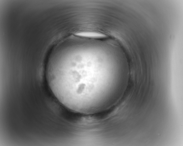 X0000088490591200706051420