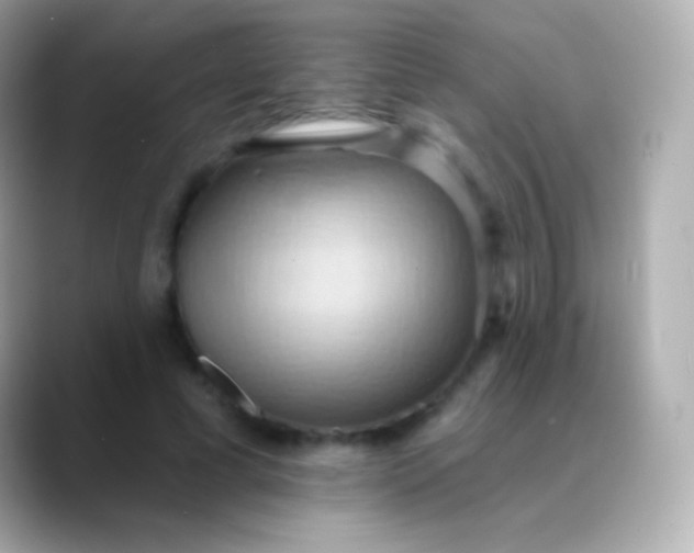 X0000088490593200706051420