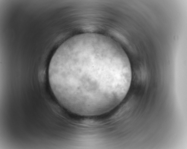 X0000088490596200706051419