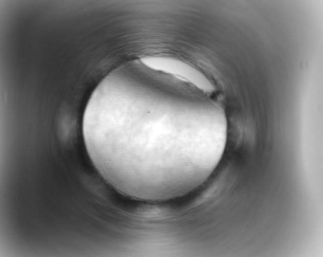 X0000088490597200706051419