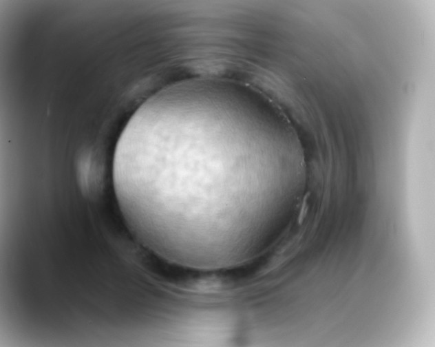 X0000088490600200706051419