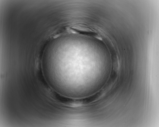 X0000088490604200706051419