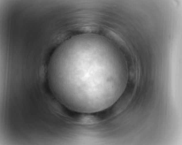 X0000088490605200706051419