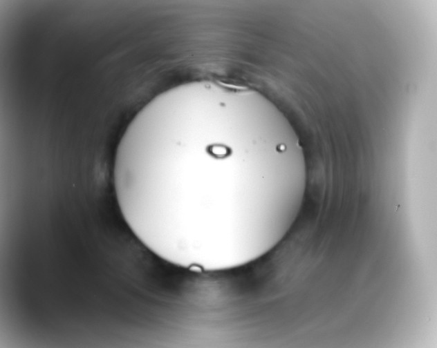 X0000088490608200706051419