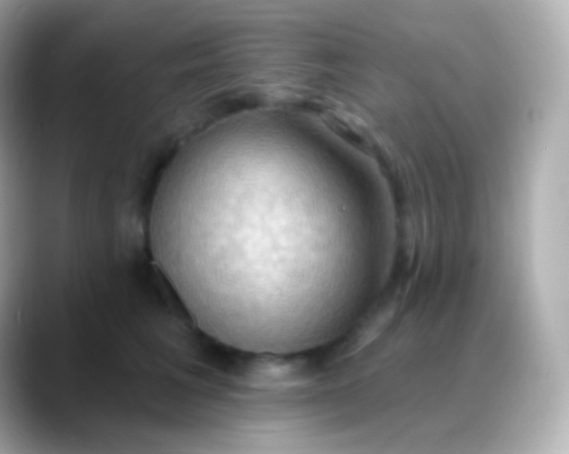 X0000088490613200706051419