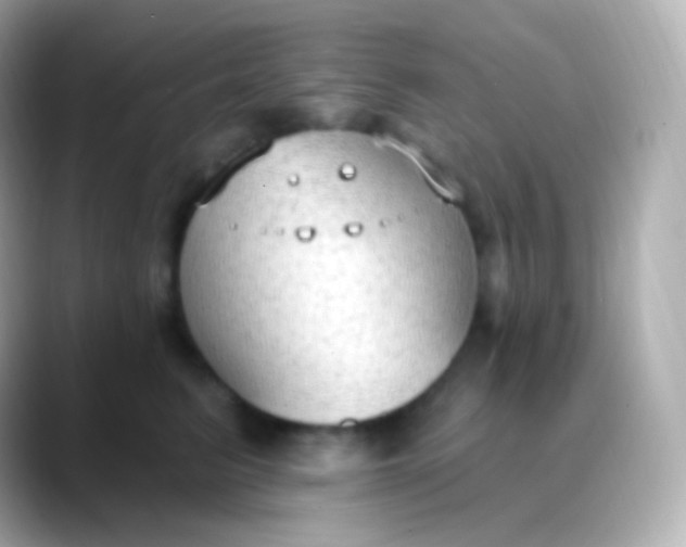 X0000088490615200706051419