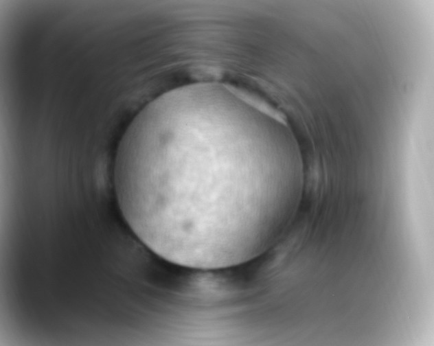 X0000088490616200706051419