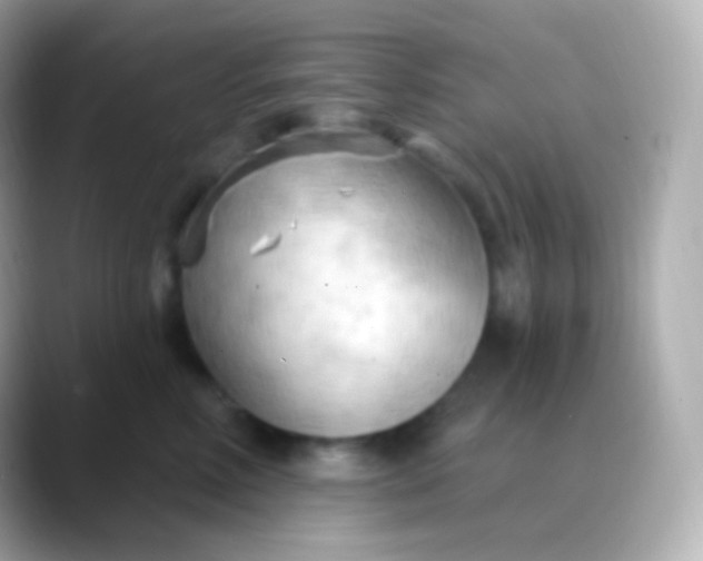 X0000088490618200706051419