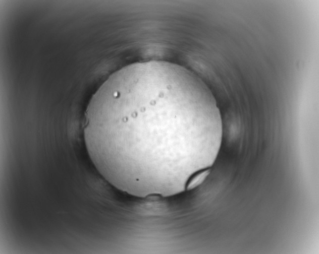 X0000088490619200706051419