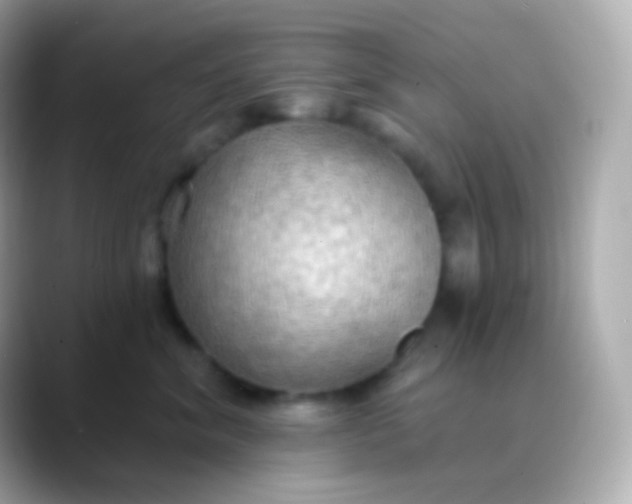 X0000088490620200706051419