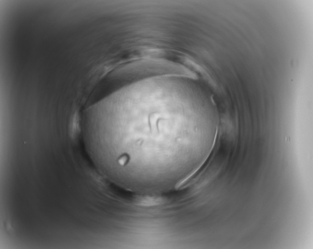 X0000088490621200706051419