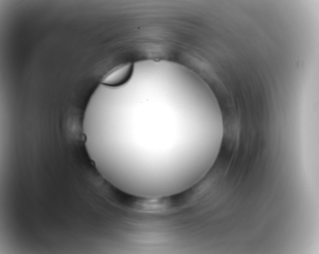 X0000088490622200706051419