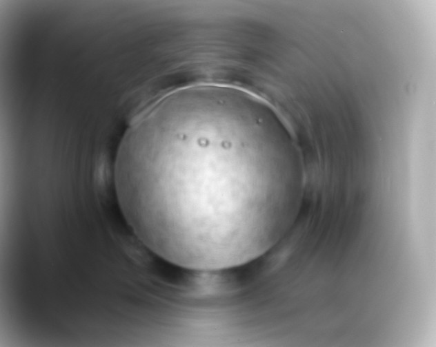 X0000088490623200706051419