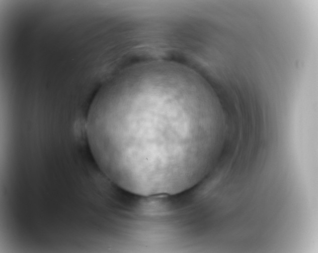 X0000088490624200706051419