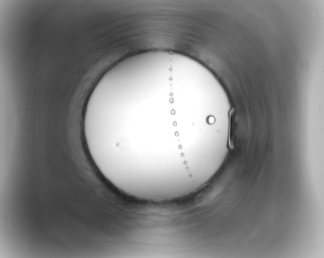 X0000088490625200706051419