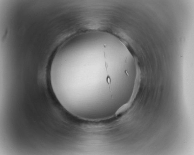 X0000088490626200706051419