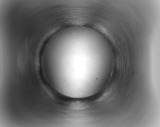 X0000088490634200706051419