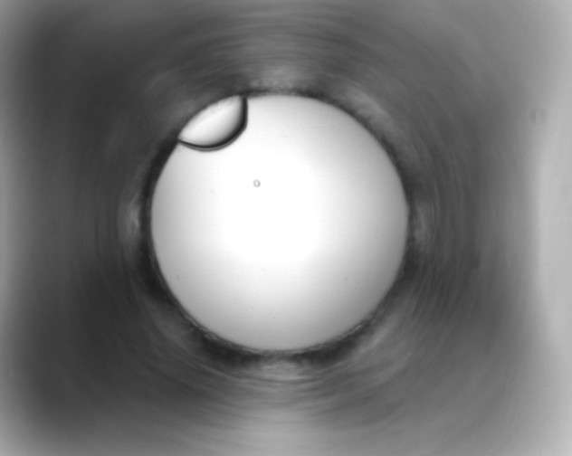 X0000088490636200706051419