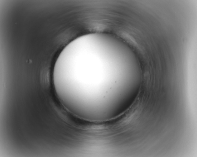 X0000088490638200706051419