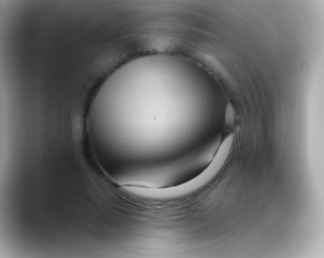 X0000088490640200706051419