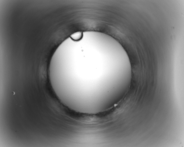 X0000088490642200706051419