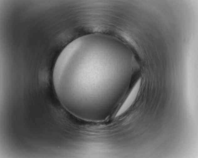 X0000088490643200706051419