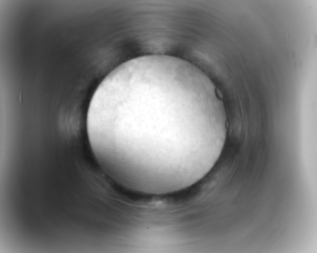 X0000088490647200706051419