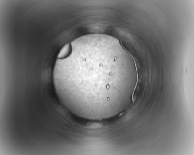 X0000088490649200706051419