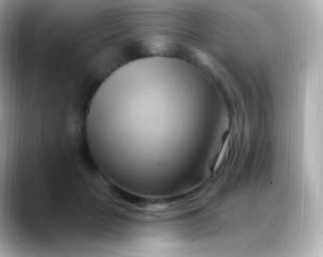 X0000088490653200706051419