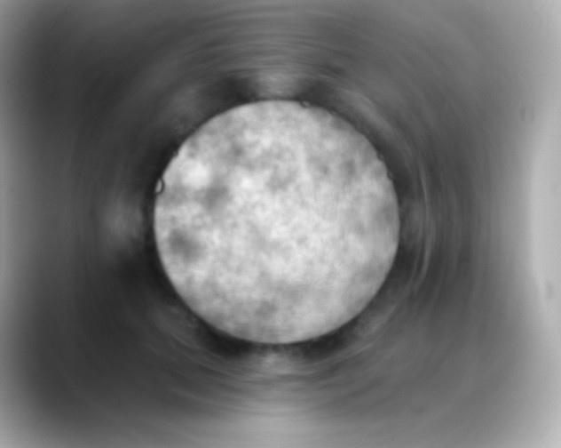 X0000088490655200706051419