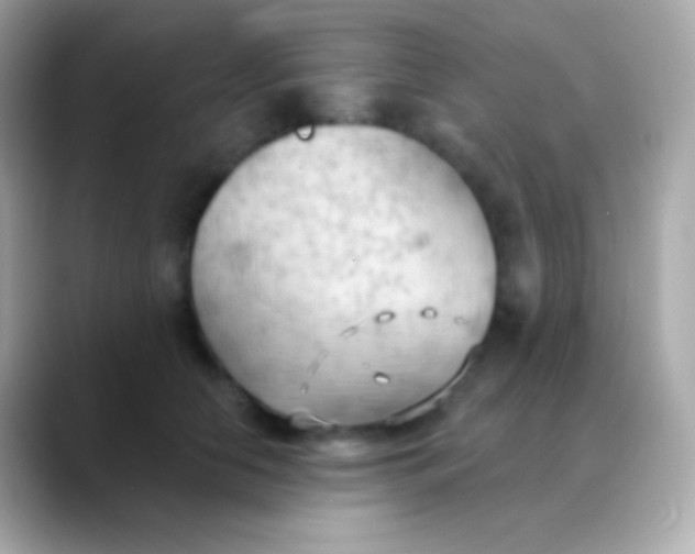 X0000088490658200706051419