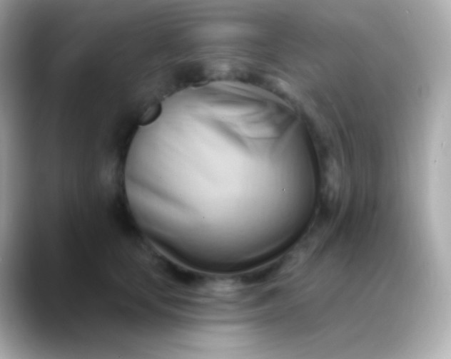 X0000088490659200706051419