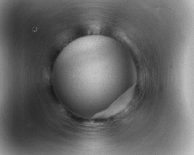 X0000088490661200706051419