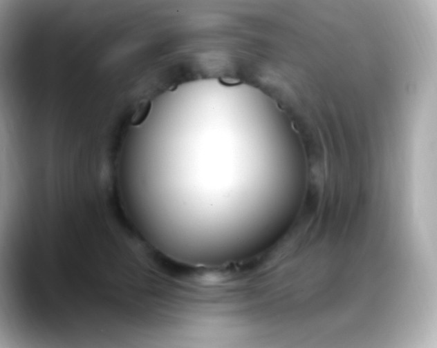 X0000088490662200706051419