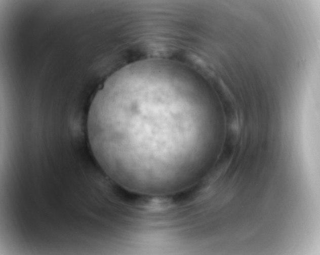 X0000088490663200706051419